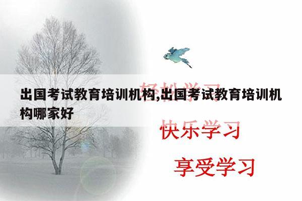 出国考试教育培训机构,出国考试教育培训机构哪家好