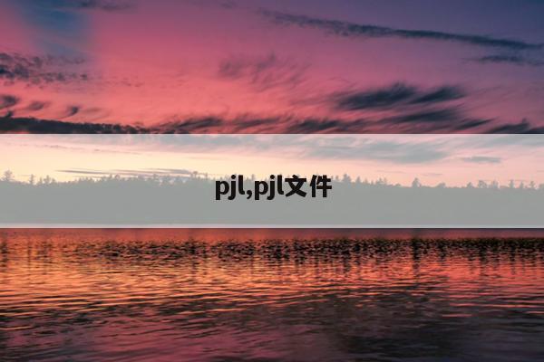 pjl,pjl文件