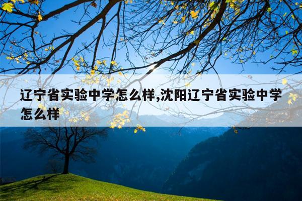 辽宁省实验中学怎么样,沈阳辽宁省实验中学怎么样